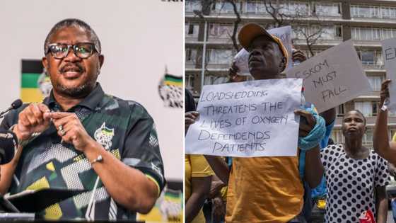 ANC Secretary-General Fikile Mbalula says state capture caused loadshedding, South Africans agree