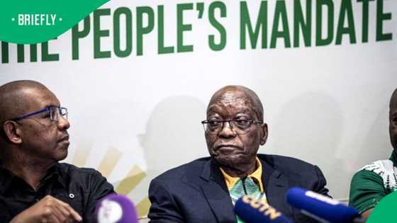 ANC summons Jacob Zuma to disciplinary hearing on 17 July