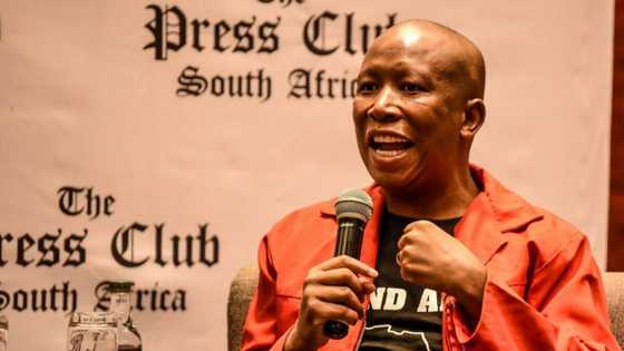 Julius Malema wants Ramaphosa to close schools: 'Think of our kids'