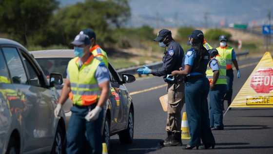 Mzansi left shocked after overloaded truck with 106 dead bodies was found on the N2 highway