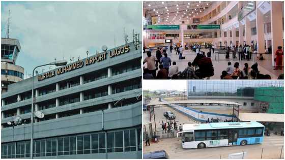 Bus driver returns bag containing R560k and other valuables to owner at the airport, many react