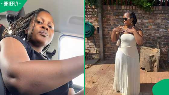 "I’d be traumatised": Wild theories fly as woman finds unexpected animal in her car