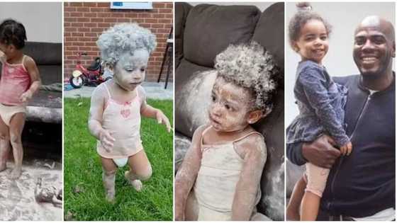 Father of 3 turns to receive a call, returns to discover his girls trashed the room with flour
