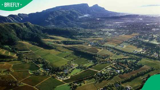 "Nice and quiet place": Video of Cape Town suburb shows where SA's billionaires ‘quietly disappear’