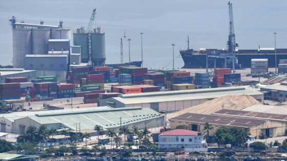 Vietnam Q1 growth hits five-year high on strong exports