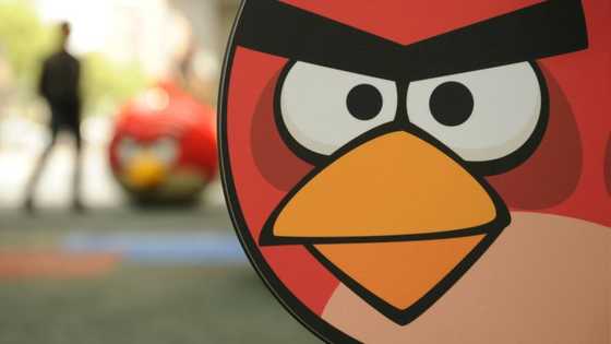 Angry Birds maker Rovio's shareholders accept Sega's bid