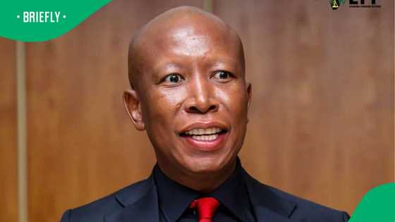 Julius Malema to face criminal prosecution for calling school principal a rapist