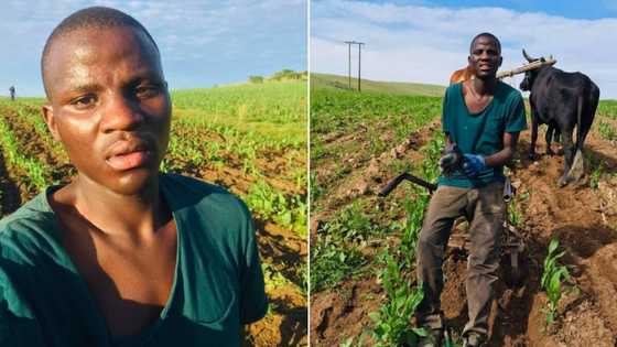 Inspiring young farmer used NSFAS funds to start his business, Mzansi is impressed by the success
