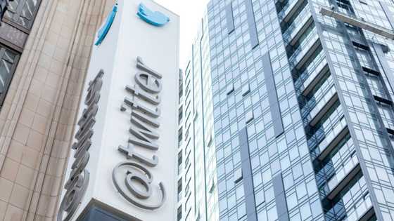 'Hardcore' or bust: Musk gives ultimatum to Twitter staff