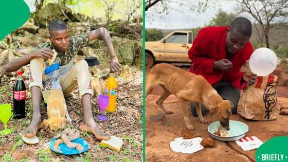 A man who fed his dog unhealthy food caused an uproar on social media and ended up being visited by the SPCA