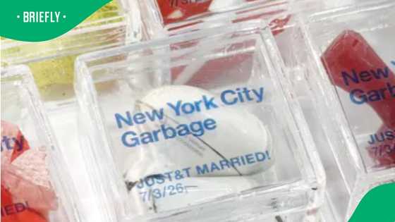 New York artist turns Taylor Swift and Travis Kelce wedding litter into sold-out collectibles
