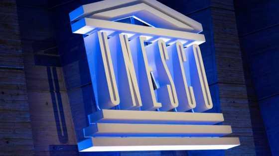 AI-supercharged neurotech threatens mental privacy: UNESCO