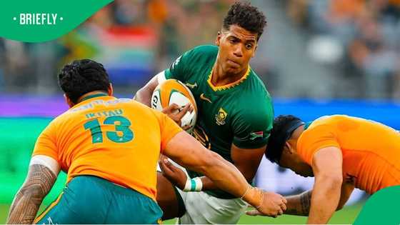 Springboks’ No 1 Ranking Under Pressure After Wallabies Shock Win