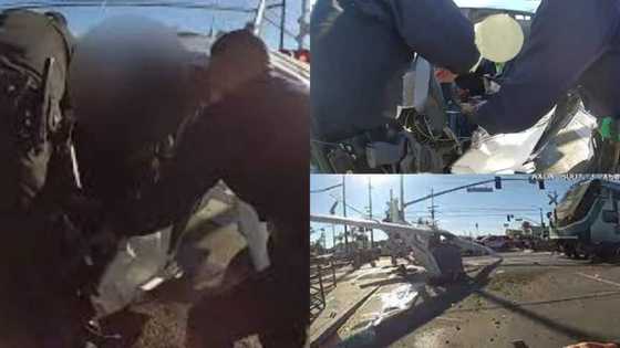 Police officers courageously pull pilot out of crashed plane seconds before oncoming train slams into wreckage