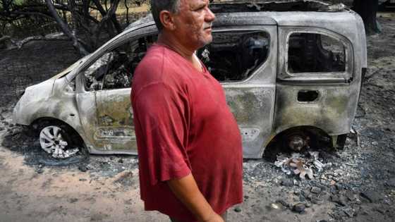 Deadly wildfires contained in Algeria