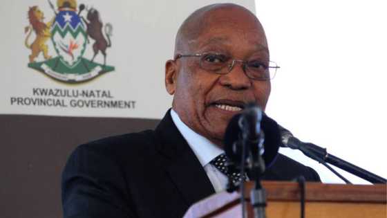Jacob Zuma to have national prayer held due to 'dark forces' against him: 'Nkos'yam'