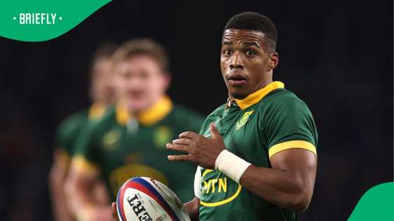 Springbok star Grant Williams reveals surprising family twist ahead of All Blacks showdown