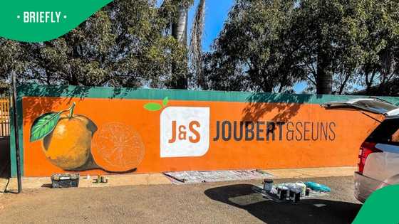 Mpumalanga farm stall installs massive lemon landmark in video