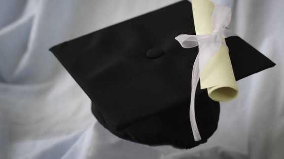Interesting South African education system facts that you should know