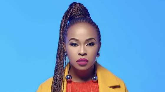 They are wealthy and humble: The highest paid celebrities in South Africa 2020