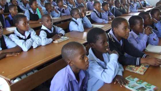 Top primary schools in Durban