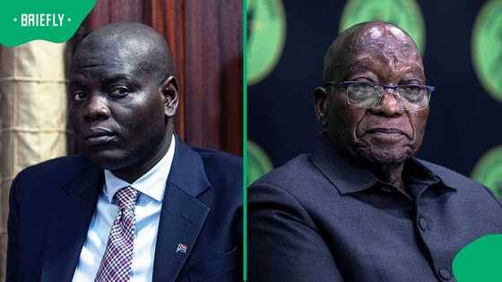 Ronald Lamola probes DIRCO official who accompanied Jacob Zuma to India