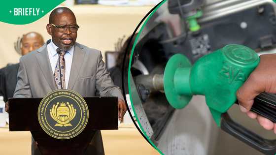 Finance Minister Enoch Godongwana announces fuel levy cuts, South Africans demand lower prices