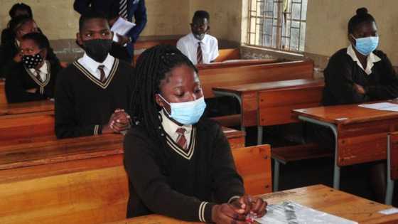 SA has difference of opinion on Gauteng High Court decision to publish matric results in the media