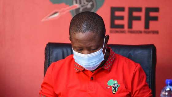 Julius Malema trends as Mzansi questions his silence about the vaccine