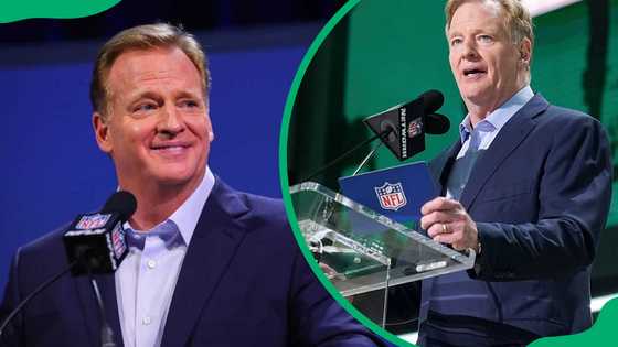 Roger Goodell's biography: Net worth, age, family, job, movies, salary, profiles