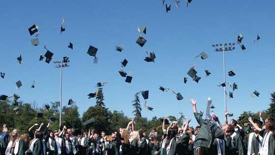 Comprehensive list of colleges in Johannesburg to choose the best one