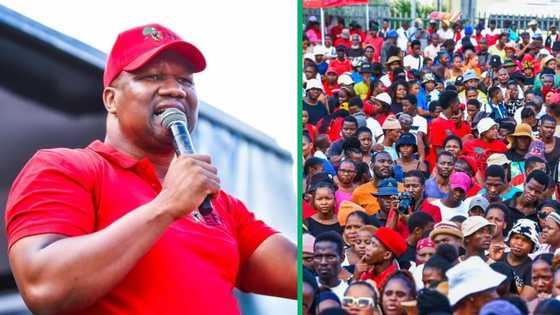 EFF KZN says they are confident ahead of the elections