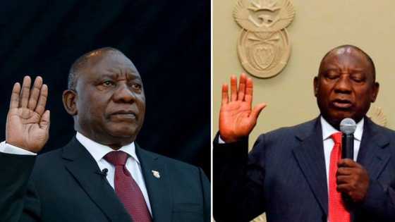 Legal expert claims Ramaphosa may have broken another oath of office, SA stunned he was at ankole auction