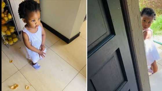 Father almost kicks toddler out for playing with onions in cute video, netizens think she's a boss