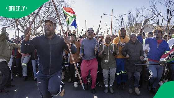 SAPS defends recent anti-illegal immigration protests: "No violence"
