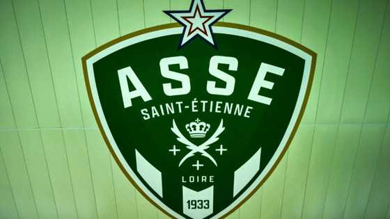 Canadian investment group buys French club Saint-Etienne