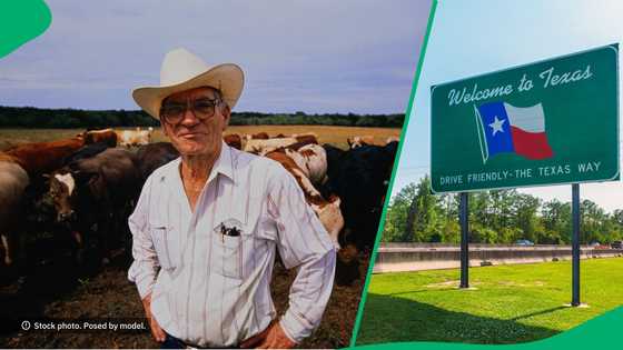 "Speaking Amerikaans": Man speaks Afrikaans with American accent in video, SA amused