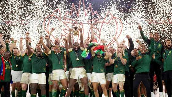 South Africa vs New Zealand: Springboks dubbed "Kings of Rugby" after defending World Cup title