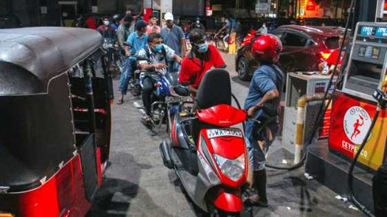 Sri Lanka schools, govt offices to shut as transport grinds to halt