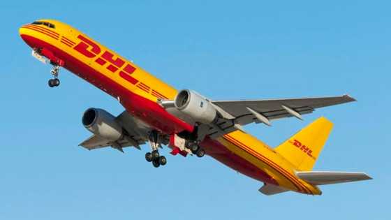 Important details about DHL South Africa shipping, prices, and terms of service