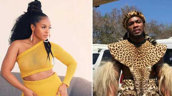 Multichoice debunks claims 'Shaka iLembe' script was stolen from Themba Ndaba, claims he wrote something similar