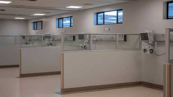 SA business which created a health information provider company raises $47m