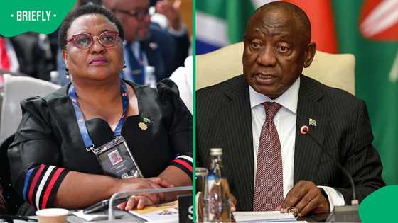 Thoko Didiza rejects Cyril Ramaphosa's attempt to prevent impeachment committee work