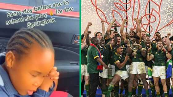 RWC 2023: TikTok video of kid praying in Afrikaans for Springboks win has SA joking her effort paid off