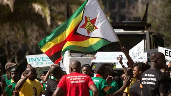 South Africa will not renew exemption permits for Zimbabweans, new visa types needed