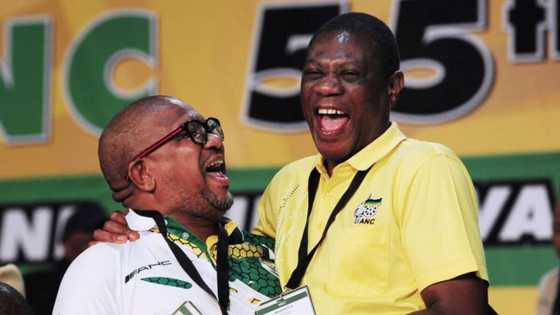 ANC sets wheels in motion for Paul Mashatile to take over from David Mabuza as SA's deputy president