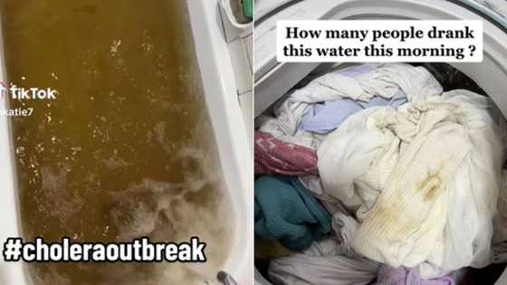 Mzansi disgusted by City of Tshwane's dirty water in TikTok video, Water and Sanitation Committee Chair explain murky tap water amid cholera reports