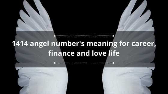 1414 angel number's meaning for career, finance and love life