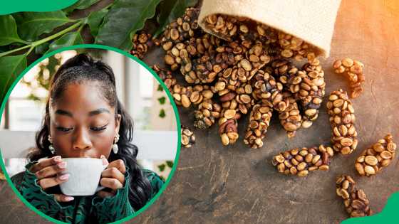 A guide to the most expensive coffee beans, their origins and flavors