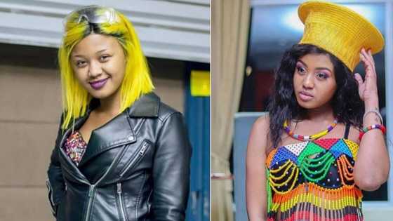 Babes Wodumo lawyers up against trolls teasing her about DJ Tira